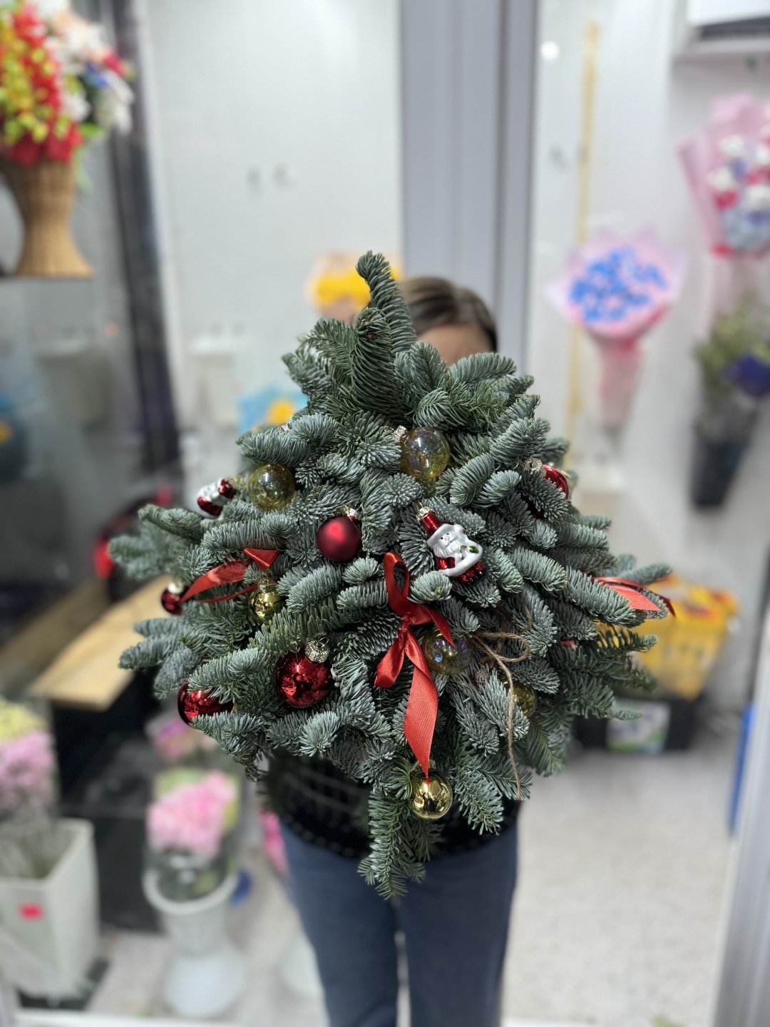 Нобилиса зеленый, золотистый, красный