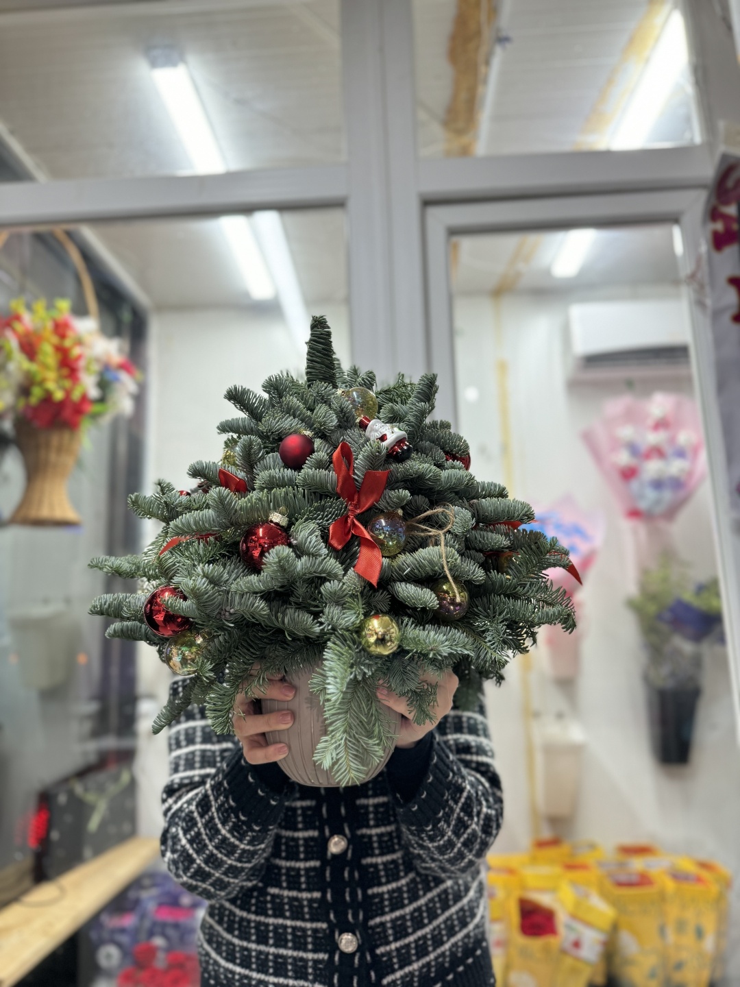 Нобилиса зеленый, золотистый, красный