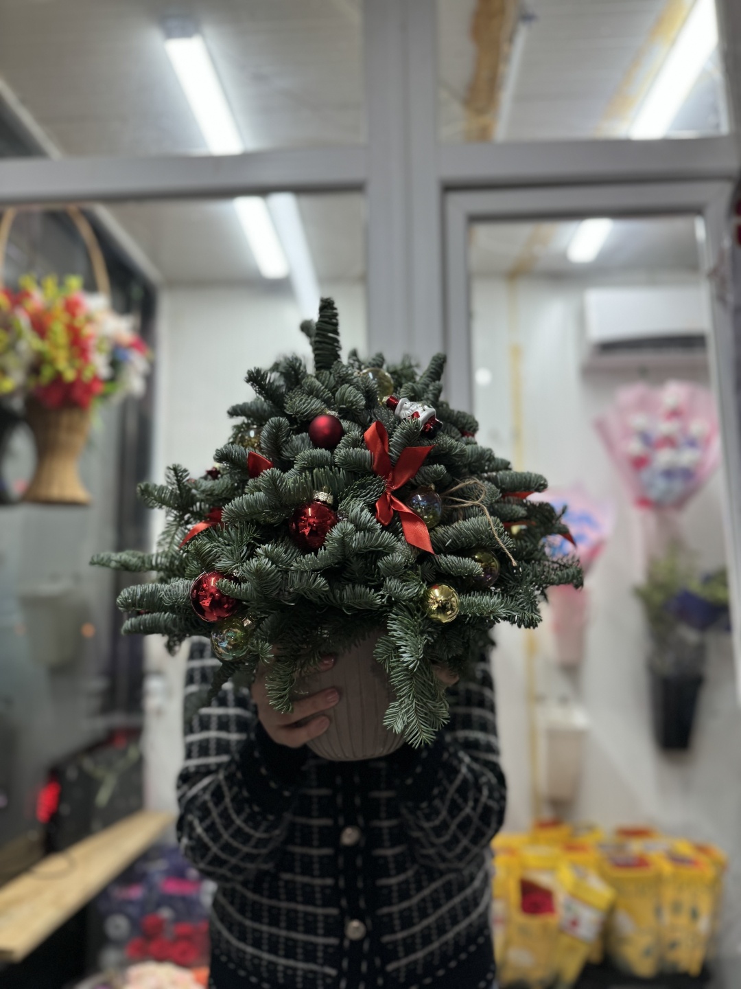 Нобилиса зеленый, золотистый, красный