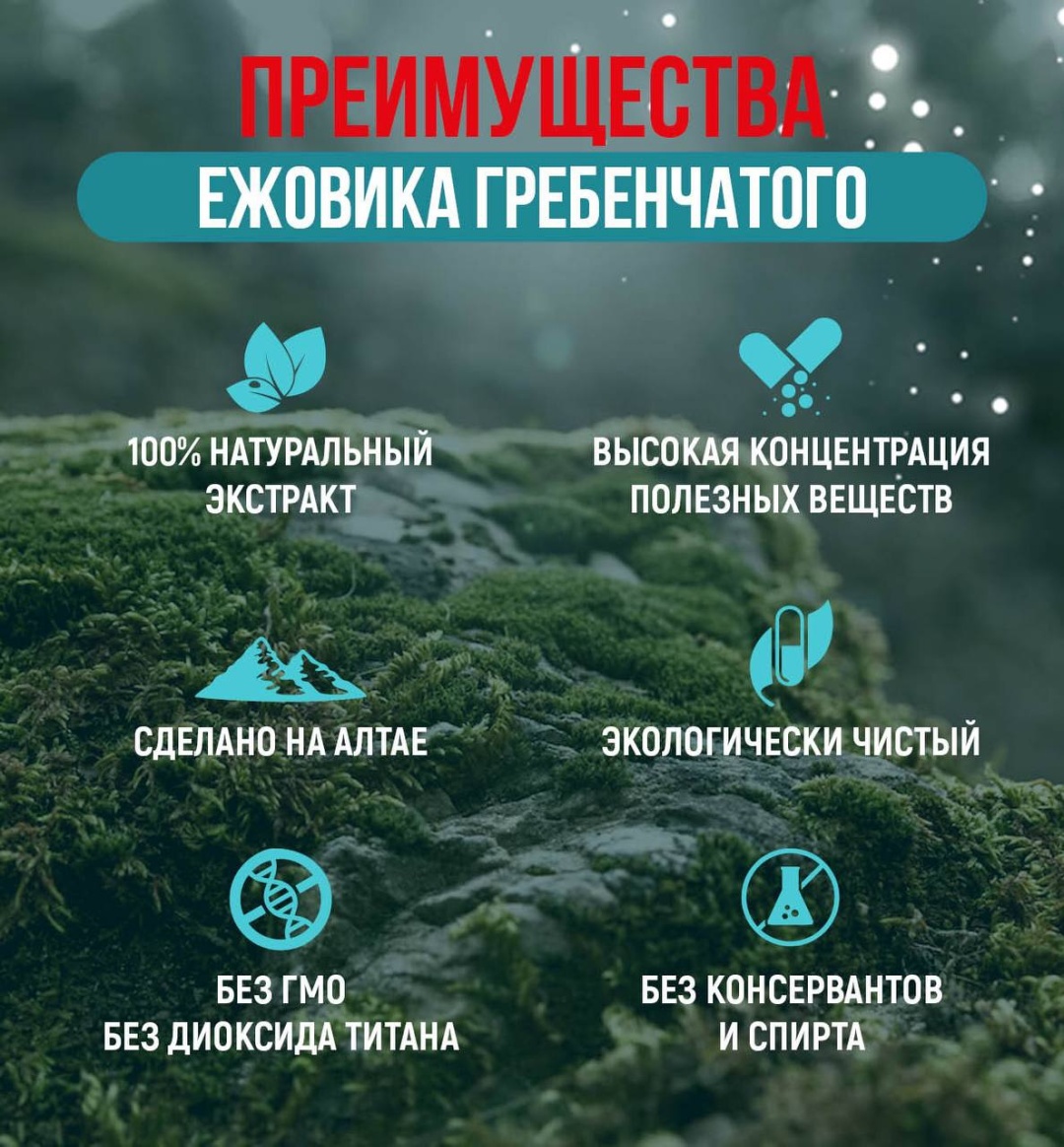 НОВАЯ ЭРА ЕЖОВИК ГРЕБЕНЧАТЫЙ Экстракт натуральный грибной капсулы 60 шт