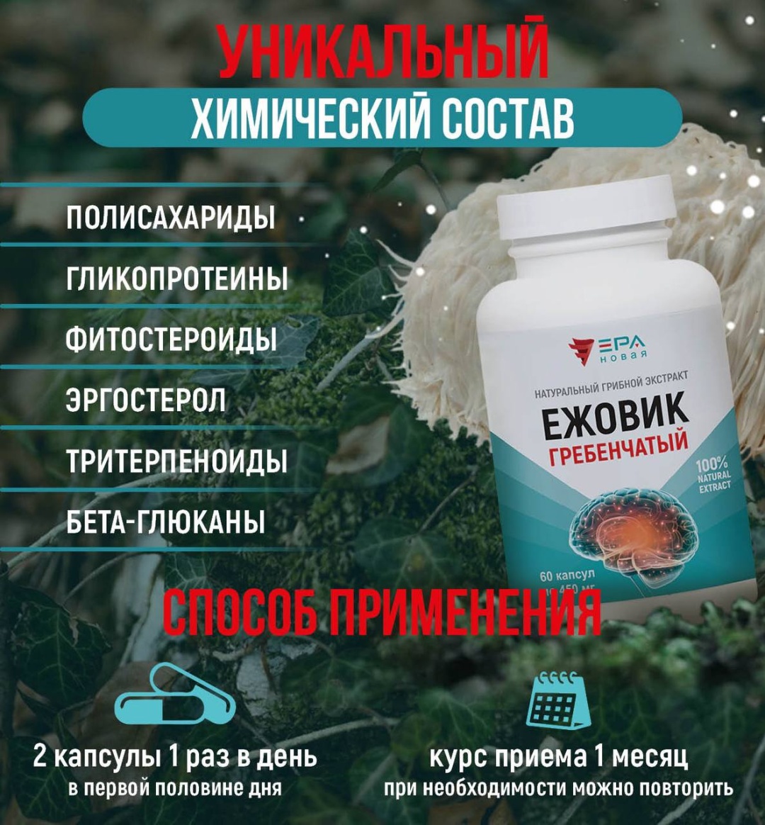 НОВАЯ ЭРА ЕЖОВИК ГРЕБЕНЧАТЫЙ Экстракт натуральный грибной капсулы 60 шт