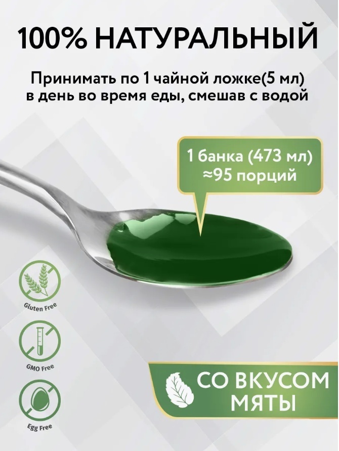 NOW Хлорофилл мятный жидкий (Chlorophyll Mint) жидкость 473