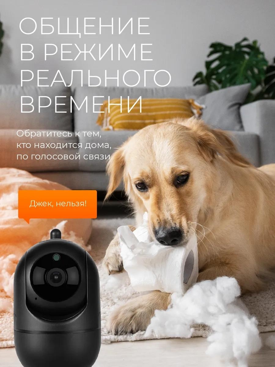 Радионяня 290725406
