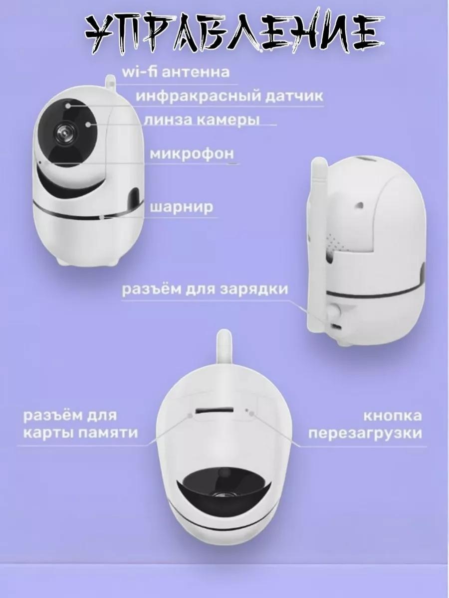 Веб-няня 264720252