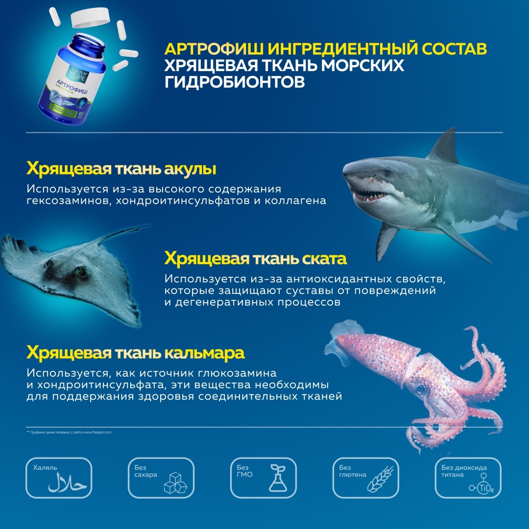 Доктор Море Артрофиш с глюкозамином и хондроитином хондропротектор для суставов капсулы 60 шт
