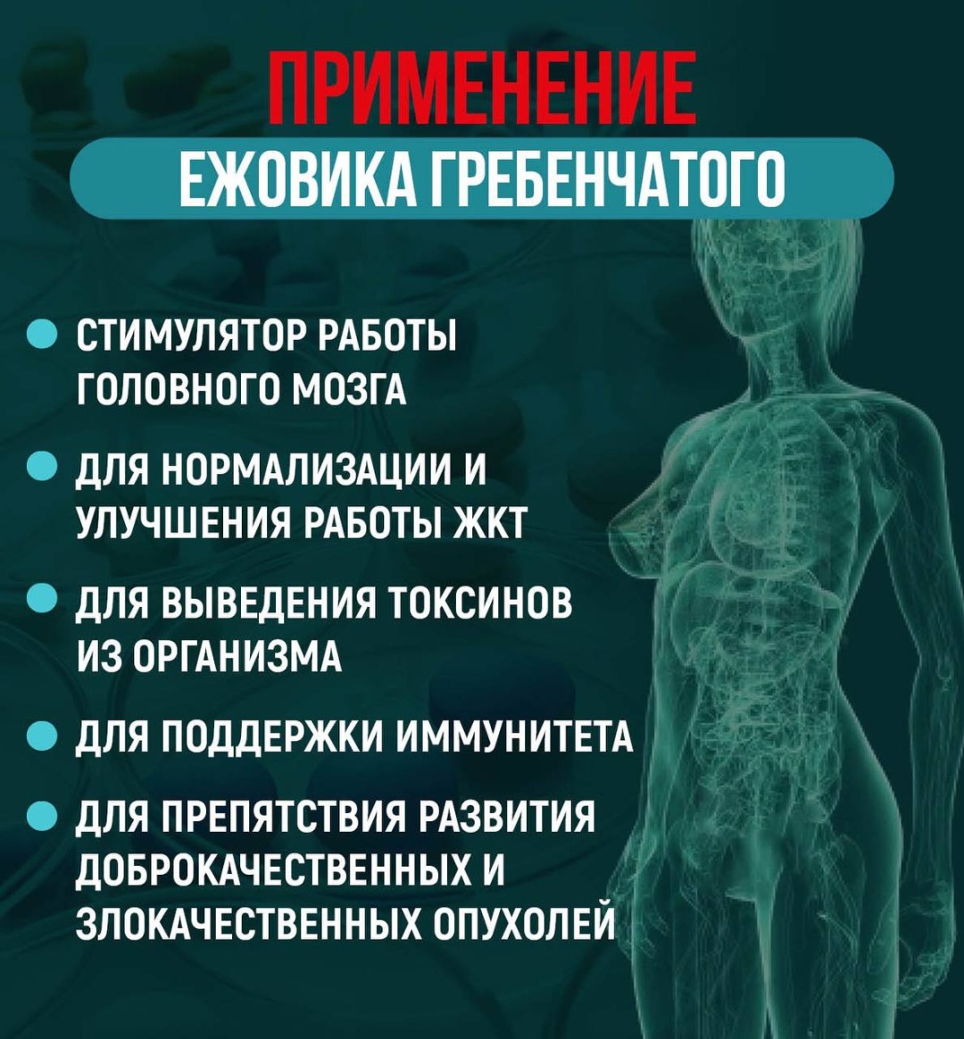НОВАЯ ЭРА ЕЖОВИК ГРЕБЕНЧАТЫЙ Экстракт натуральный грибной капсулы 60 шт