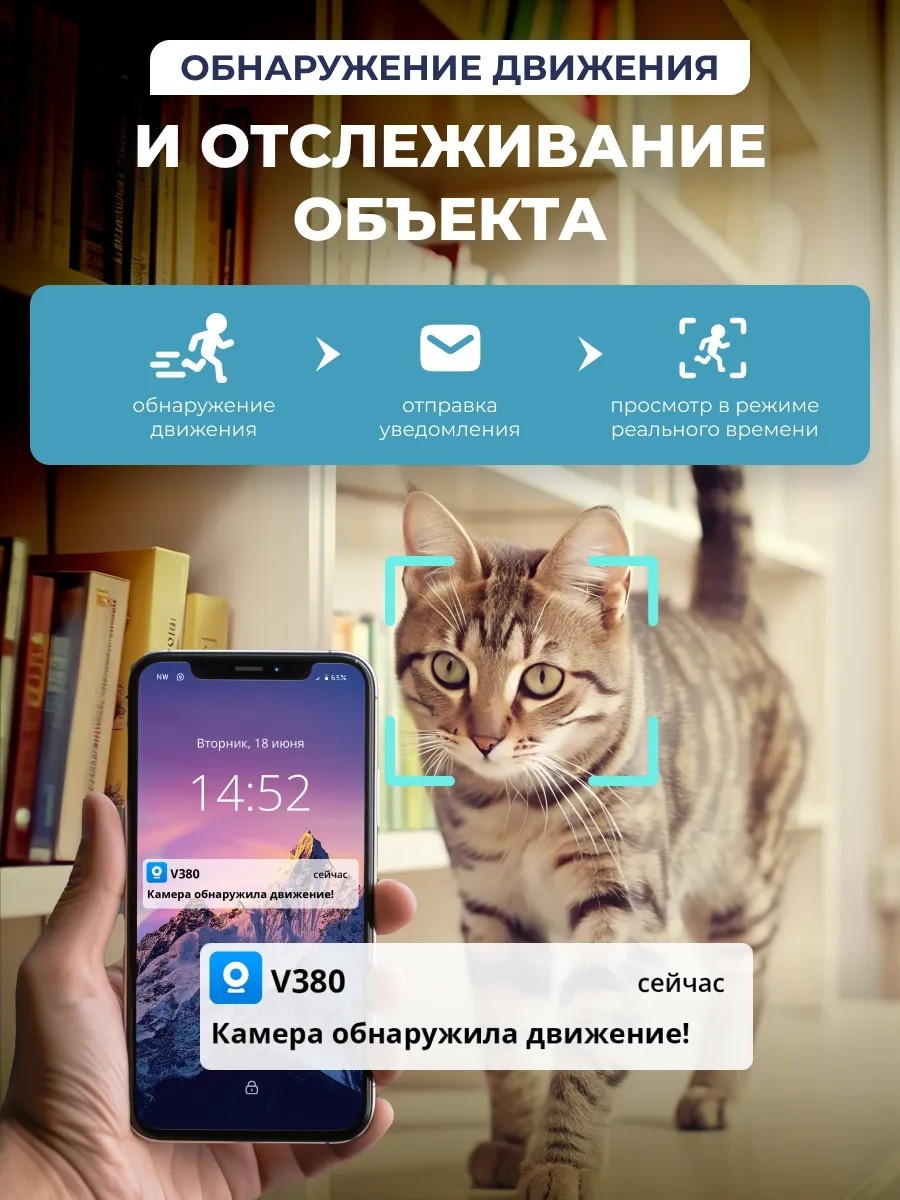 Видеоняня 308564721