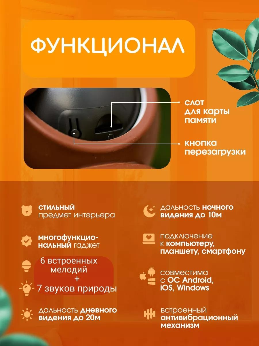 Видеоняня Teddy01