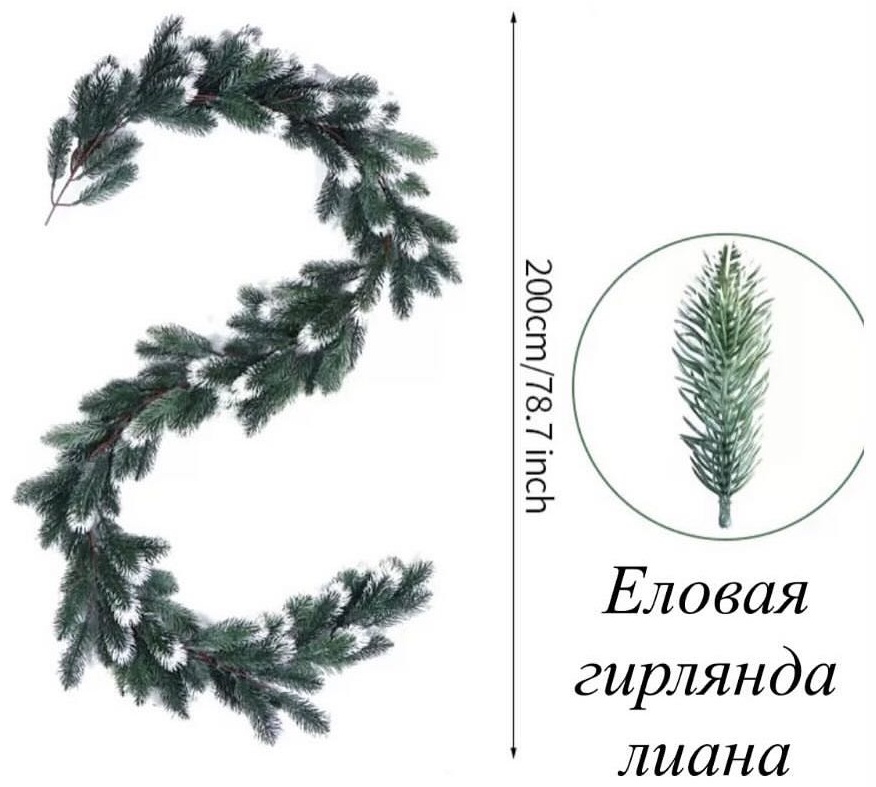 Лиана хвойная