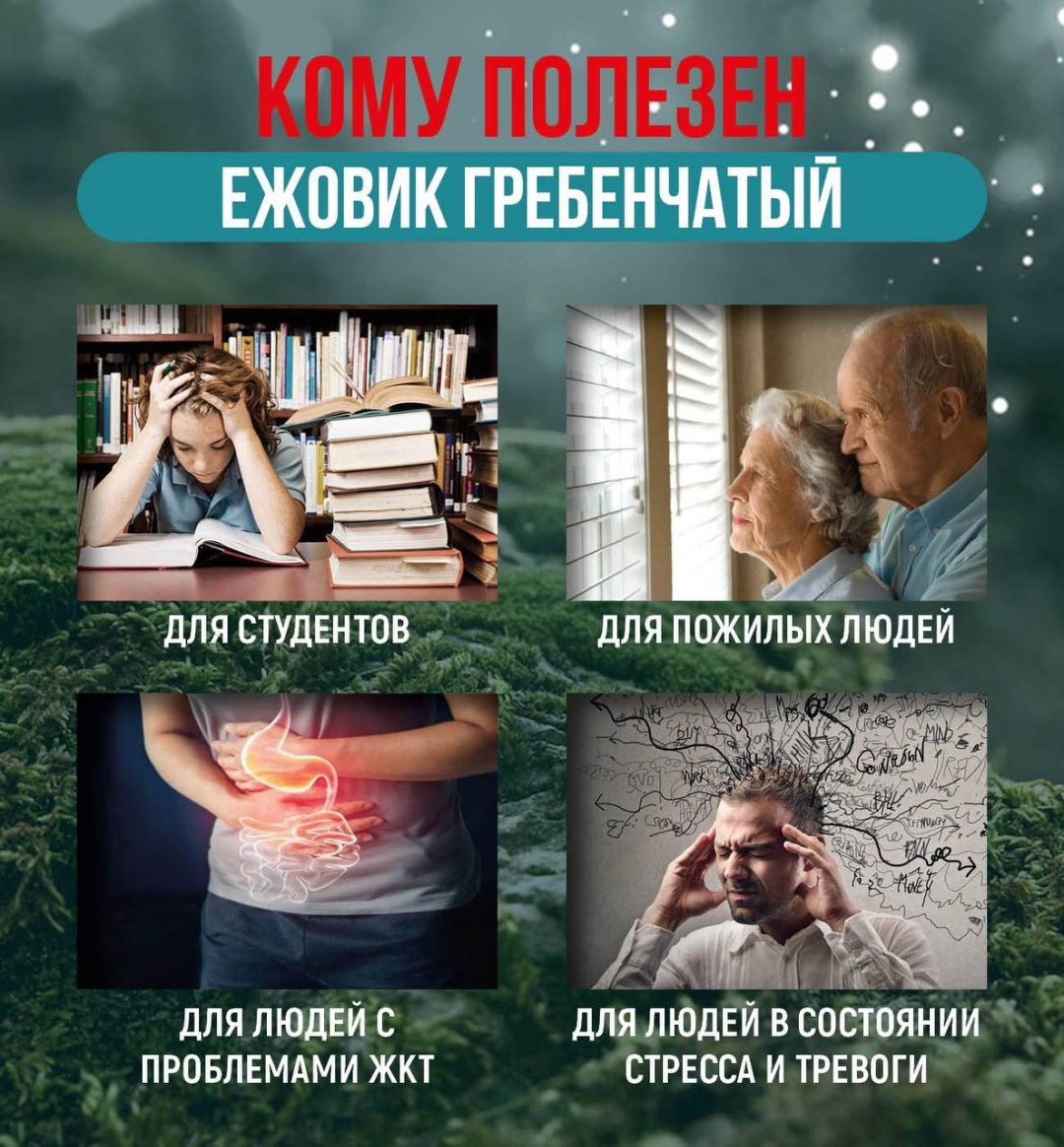НОВАЯ ЭРА ЕЖОВИК ГРЕБЕНЧАТЫЙ Экстракт натуральный грибной капсулы 60 шт