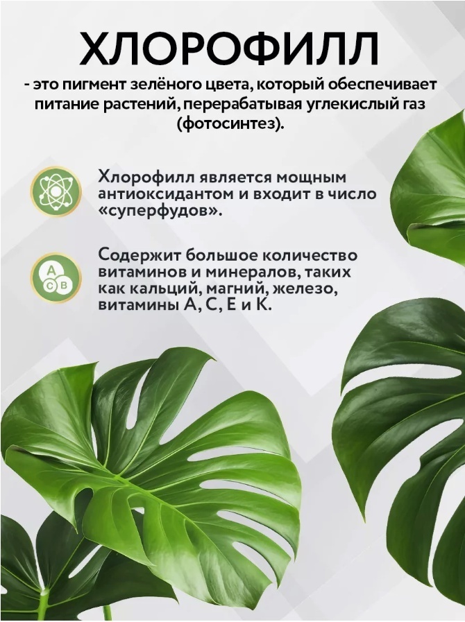 NOW Хлорофилл мятный жидкий (Chlorophyll Mint) жидкость 473